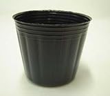 ポリポット　6cm　黒　100個