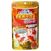 Amazon | ジェックス 金魚元気プロバイオミニフレーク40g | GEX