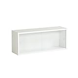 arne ウォールラック 壁掛け棚 本棚 シェルフ 飾り棚 収納 ガラス 引き戸 完成品 WallBoxB-M　glass　ホワイト