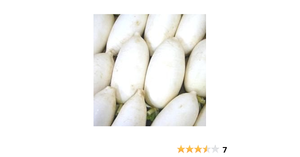 Amazon 薬味に最適 辛み大根 辛味大根 1本 だいこん ダイコン さんきん 大根 通販