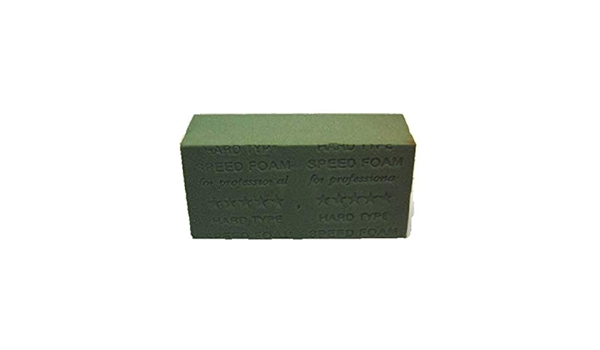 Amazon 吸水性スポンジ 生花 お祝い 記念日 誕生日 フラワーギフト バラ 花 観葉植物 フラワーギフト オンライン通販