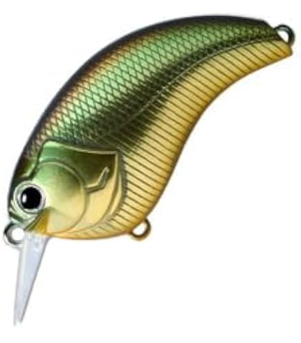 Amazon | デプス イヴォーク 1.2 deps EVOKE 【2】 ＃22 マッディー