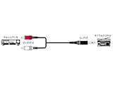 JVCケンウッド ビクター ピンプラグ R入 X2-ミニプラグ 1.5M CN-131A