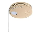 パナソニック(Panasonic) 煙当番薄型電池式・移報接点なし(和室色) SHK38455Y 62-3531-32