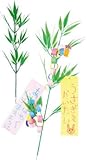 アーテック 七夕用笹(小)個人用 001565
