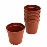 プラポット 7.5cm 茶 穴ありタイプ 10個セット