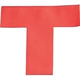 IWATA ラインプロTタイプ(赤)2枚入り LPT6