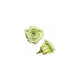 florever　フロールエバー　フレッシュルックベイビーローズ　シトラスグリーン　12輪　Φ2.5～3.5cm　 プリザーブドフラワー　Baby Rose　Citrus Green