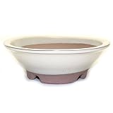 盆栽鉢 5号 丸陣笠鉢 白色 クリーム釉 四日市萬古焼