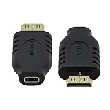 JSER Xiwai タイプD Micro HDMIソケットメス-Type-C Mini HDMI 1.4オス変換アダプター