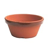 常滑焼植木鉢　駄温鉢　浅鉢 12号／アウトレット数量限定品