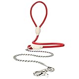 Beanspet リード 犬 防噛み 丸いリード 握り易い おしゃれ かわいい 散歩 1.2M (レッド, M)