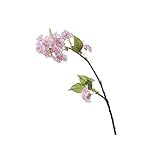 asca 造花 桜 八重桜 ピンク 花数:18・つぼみ:5 A-36131-003