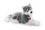 Trudy Husky Marcus Plush (60 cm) by Trudi