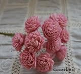 ~Coco Heart~　ソーラーローズ　クリスタルピンク　10本セット(大地農園）　（リース・木の実・ドライフラワー）