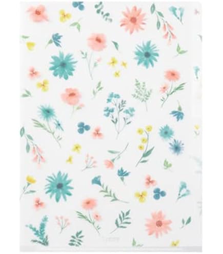 Amazon.co.jp: 君の名は。 クリアファイルセットB 三葉 瀧 新海誠 ラフ