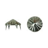 Pointed Orange Squeezer Nailhead, Size 40, Solid Brass, Nickel Finish, 150 pieces per pack by C&C Me