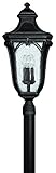 Hinkley Lighting 1311MB Trafalgar Outdoor Light, Museum Black [並行輸入品]