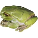 【欠品中】FRP　でかいカエル / Frog JumBo　【カエルオブジェ　アニマルオブジェ　店舗・