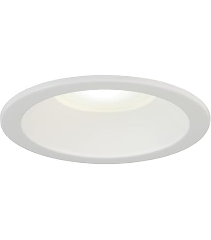 Amazon.co.jp: NEC ホタルクス HotaluX LEDダウンライト SB形 埋込穴