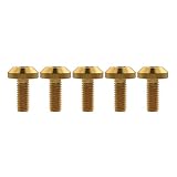 Ruifuチタン合金六角穴M6x12 15 20 25 30 35mm M8x 15 20 25 30 35 40mm自転車オートバイホイールナンバープレート取付ボルト5本セット (M8x15mm, ゴールド)