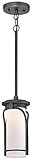 Minka Lavery 8154-568-L Holbrook LED Outdoor Lantern, Forged Stone Silver Finish [並行輸入品]