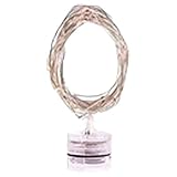 Zhaozhe装飾ライト LEDストリングライト 電池式　雰囲気作り 2メートル 20led クリスマス ホームパーティー 結婚式 バレンタインデー適用 (ウォームホワイト)