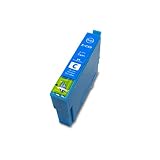 ICC69 染料 単品 エプソンプリンター用 互換インク 残量検知機能付 (IC69 PX-S505 PX-045A PX-105 PX-405A PX-046A PX-047A PX-435A PX-505F PX-436A PX-437A PX-535F)