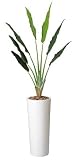 光触媒観葉植物 アートトラベラーズパーム2.1 117A700