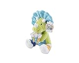 Baby Aspen, Tricerasocks Plush Gift Set with Socks for Baby, Green/Blue, 0-6 Months