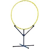 ラングスジャパン(RANGS) ディスゲッター・フープ イエロー