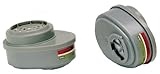 MSA Safety Works 817667 Replacement Cartridges for Multi-Purpose Respirator ( Set of 2 Catridges) [並
