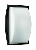 1650BZ Outdoor Atlantis Light [並行輸入品]