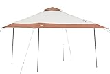 Coleman 13 x 13 Instant Canopy [並行輸入品]