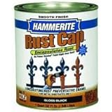 Masterchem Industries 44260 QT Smooth Paint, White [並行輸入品]