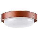 Dotoy ledシーリングライト 小型 10W ブラウン木枠 1000lm 4畳 6畳 シーリングライト 小型 木目ライト 昼白色 led