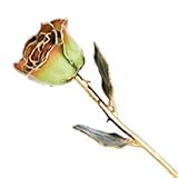 Long Stem Dipped 24 Kゴールドトリムペリドット&オレンジラッカー塗装純正ローズinギフトボックス