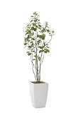 光触媒観葉植物 ア－バンブランチツリ－1.9 フロアタイプ ハイサイズ