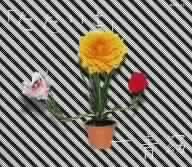 �ǂ�ł�Ԃ� / ����w