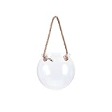 IMAX 85836 Stunning Talia Hanging Vase, Medium [並行輸入品]