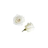 florever　フロールエバー　フレッシュルックベイビーローズ　パールホワイト　12輪　Φ2.5～3.5cm　 プリザーブドフラワー　Baby Rose　Pearl White