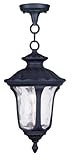 Livex Lighting 7849-04 Oxford 1 Light Outdoor Chain Hang, Black by Livex Lighting
