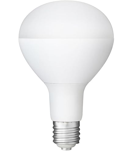 Amazon | アイリスオーヤマ ハイパワーLED照明 RZシリーズ E39口金