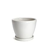 鉢 KANEYOSHI 陶器 10号 植木鉢 白 LL 【受皿付き】