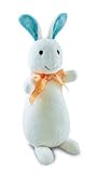 Pat The Bunny: Bean Bag Toy by Kids Preferred by Kids Preferred