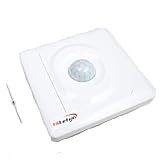 赤外線人体感応スイッチ LEDランプ 省エネランプ 高感度赤外線センサー [並行輸入品]