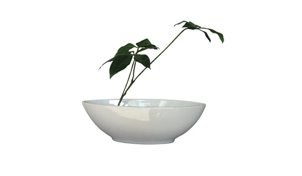 Amazon 造花 花瓶 F Style Vase Pachira Glabra パキラ グラブラ 絵画 インテリア 壁掛け アート ポスター フック 海 ピカソ 額縁 風景専門店 R のあゆわら アートフレーム ポスター