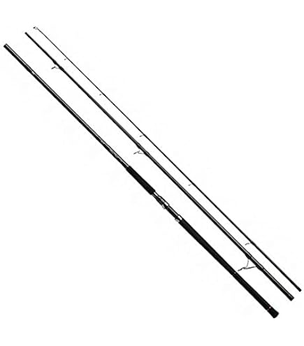 Amazon | ダイワ(DAIWA) アキアジロッド シルバークリーク AK 102MH 