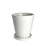 KANEYOSHI 鉢 陶器 10号 29.5cm 植木鉢 白 【受皿付き】