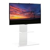 テレビスタンド 棚付き 32~60型対応 ロータイプ WHTVL-60 壁寄せテレビスタンド テレビ台 壁寄せテレビ台 棚 テレビラック (ホワイト)